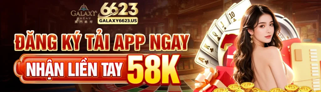 6623 banner