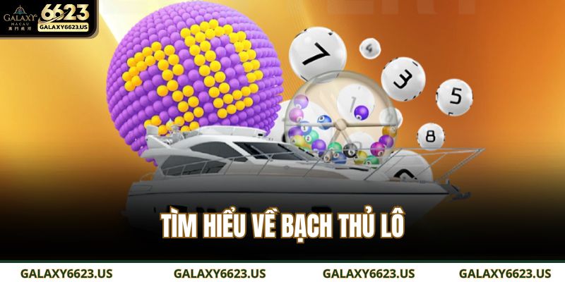 Tìm hiểu về bạch thủ lô